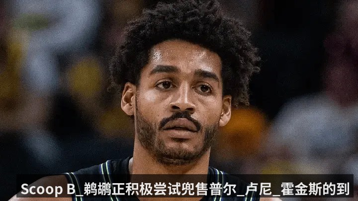 Scoop B_鹈鹕正积极尝试兜售普尔_卢尼_霍金斯的到期合同